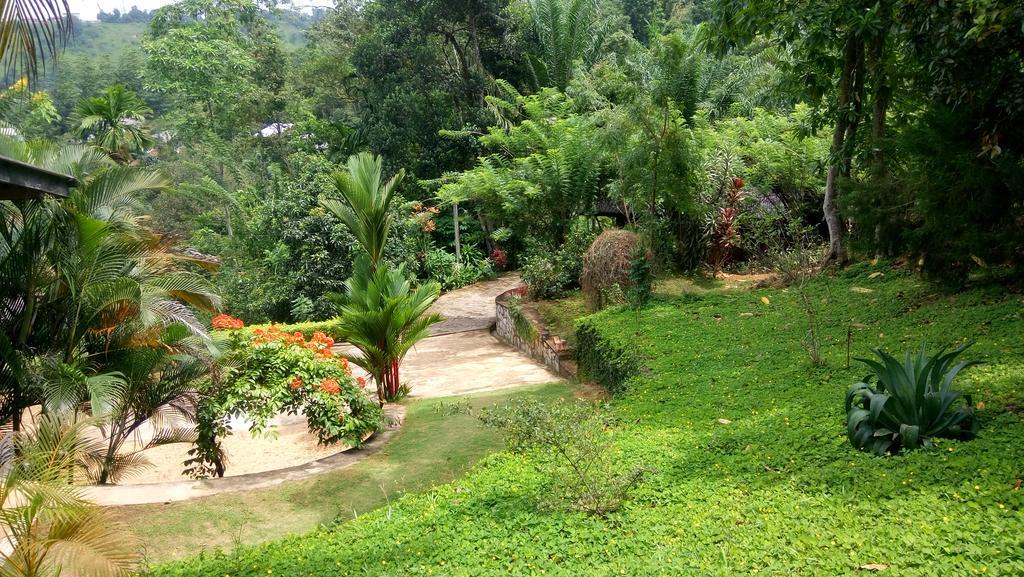 Tea Leaf Retreat