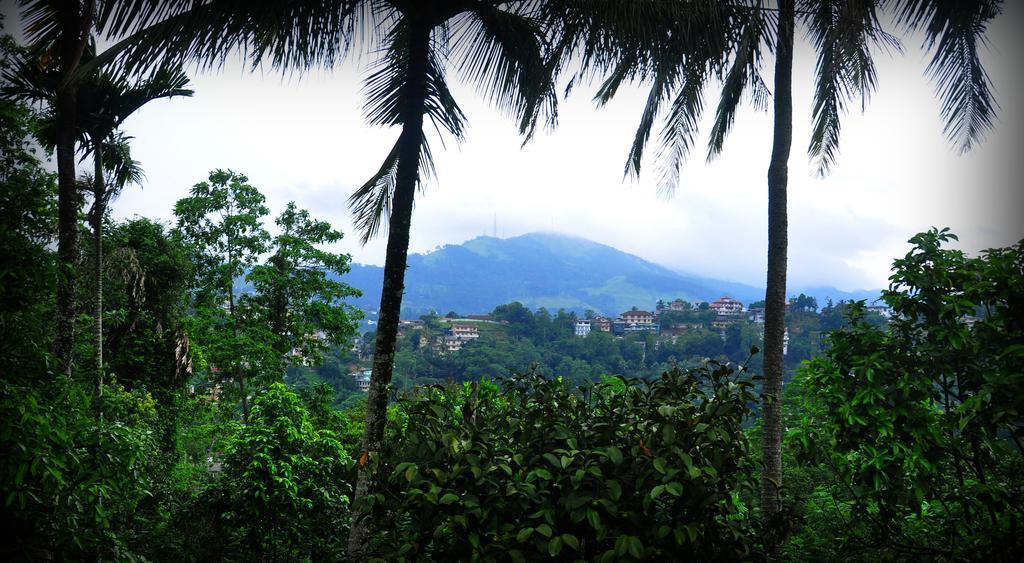 Knight's Heaven Kandy