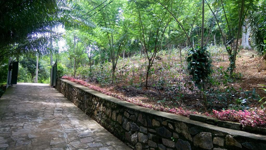 Homestay Tea Leaf Retreat