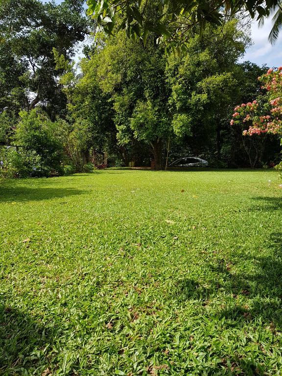 Homestay Knight's Heaven
