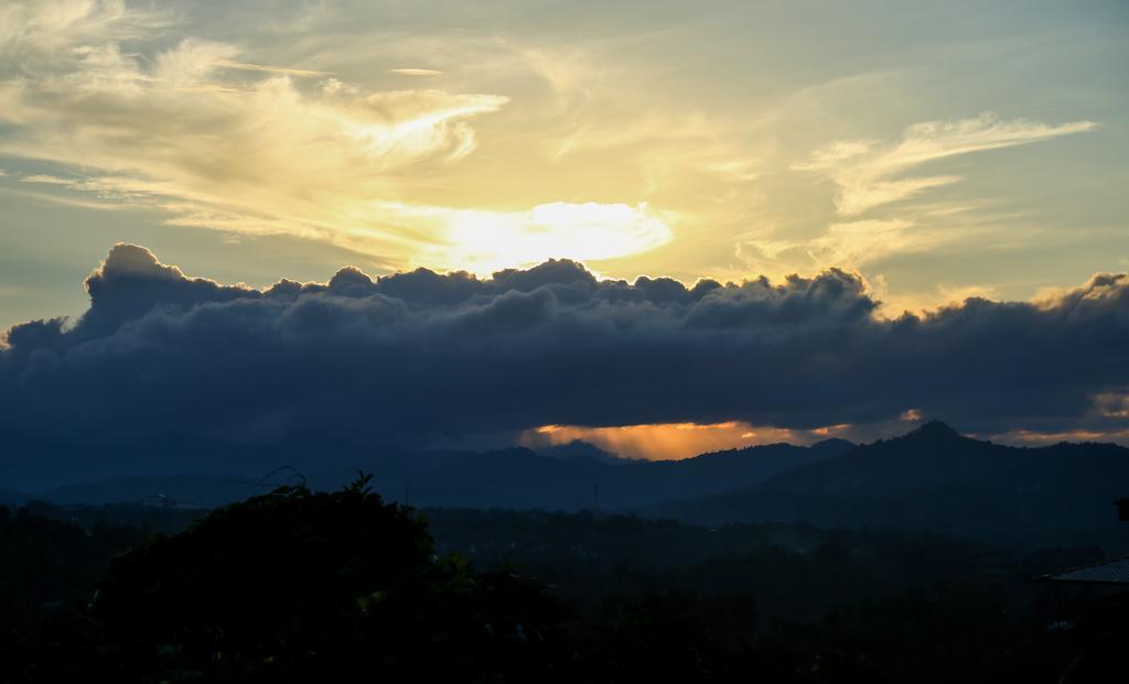 Romance Hills