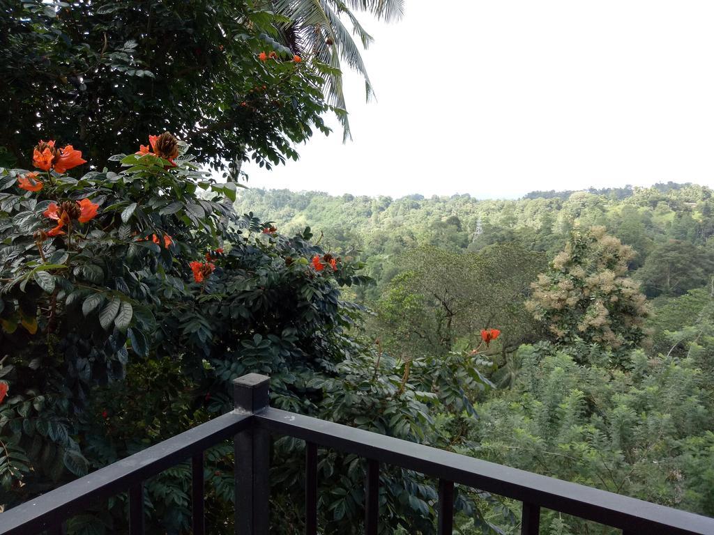 Chaya Hills Guest house Kandy