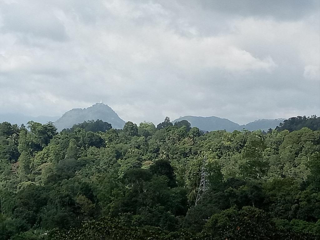 Guest house Chaya Hills Kandy