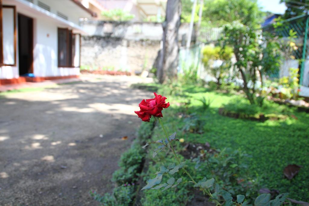 Guest house Mahaweli Shades 2*