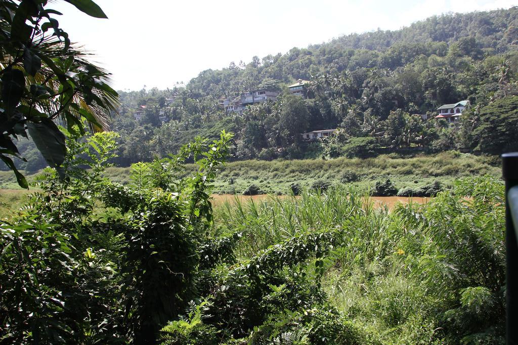 Mahaweli Shades 2*