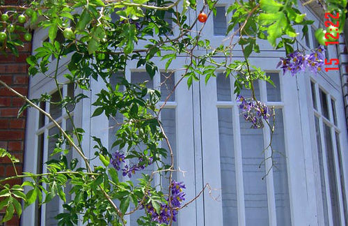 Sandalwood Villa Kandy