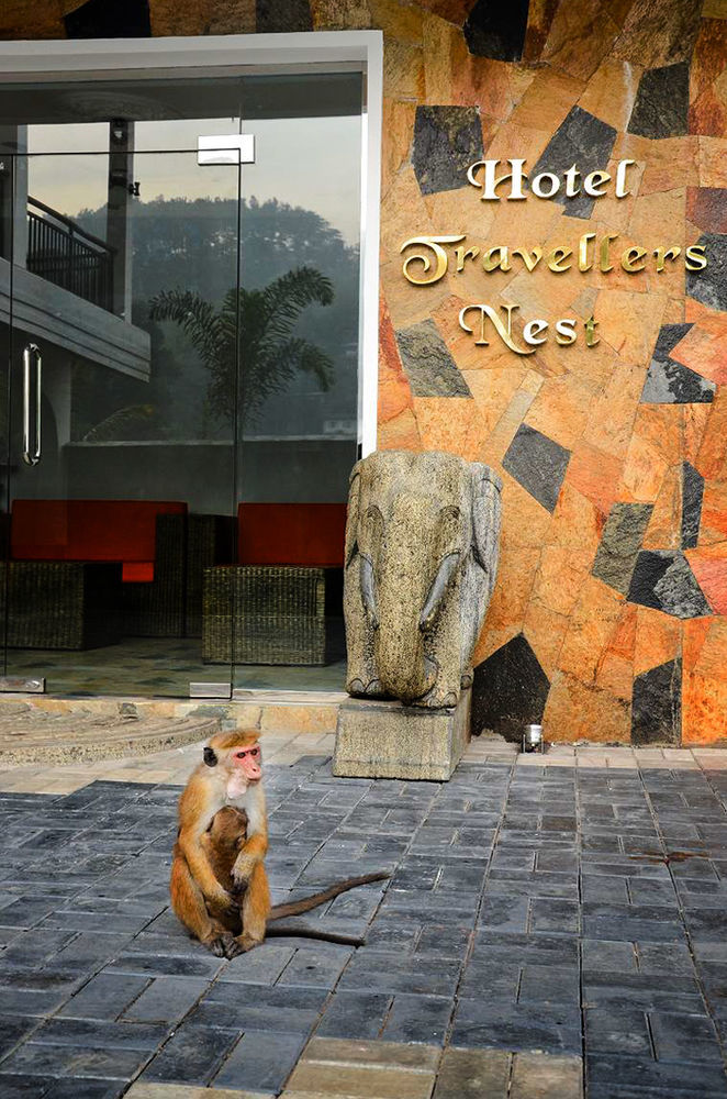 Travellers Nest Hotel