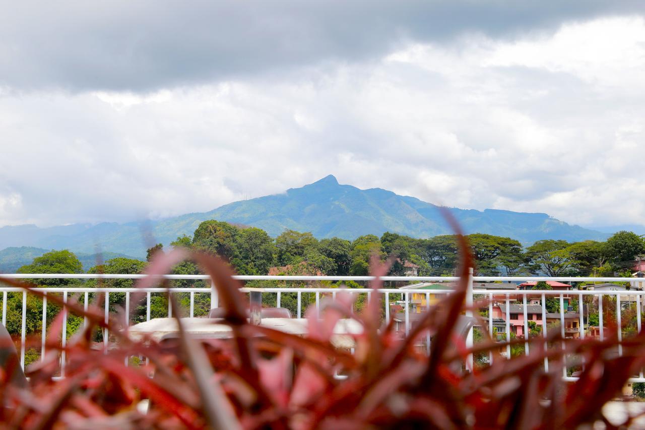 Guest house Serene 5*