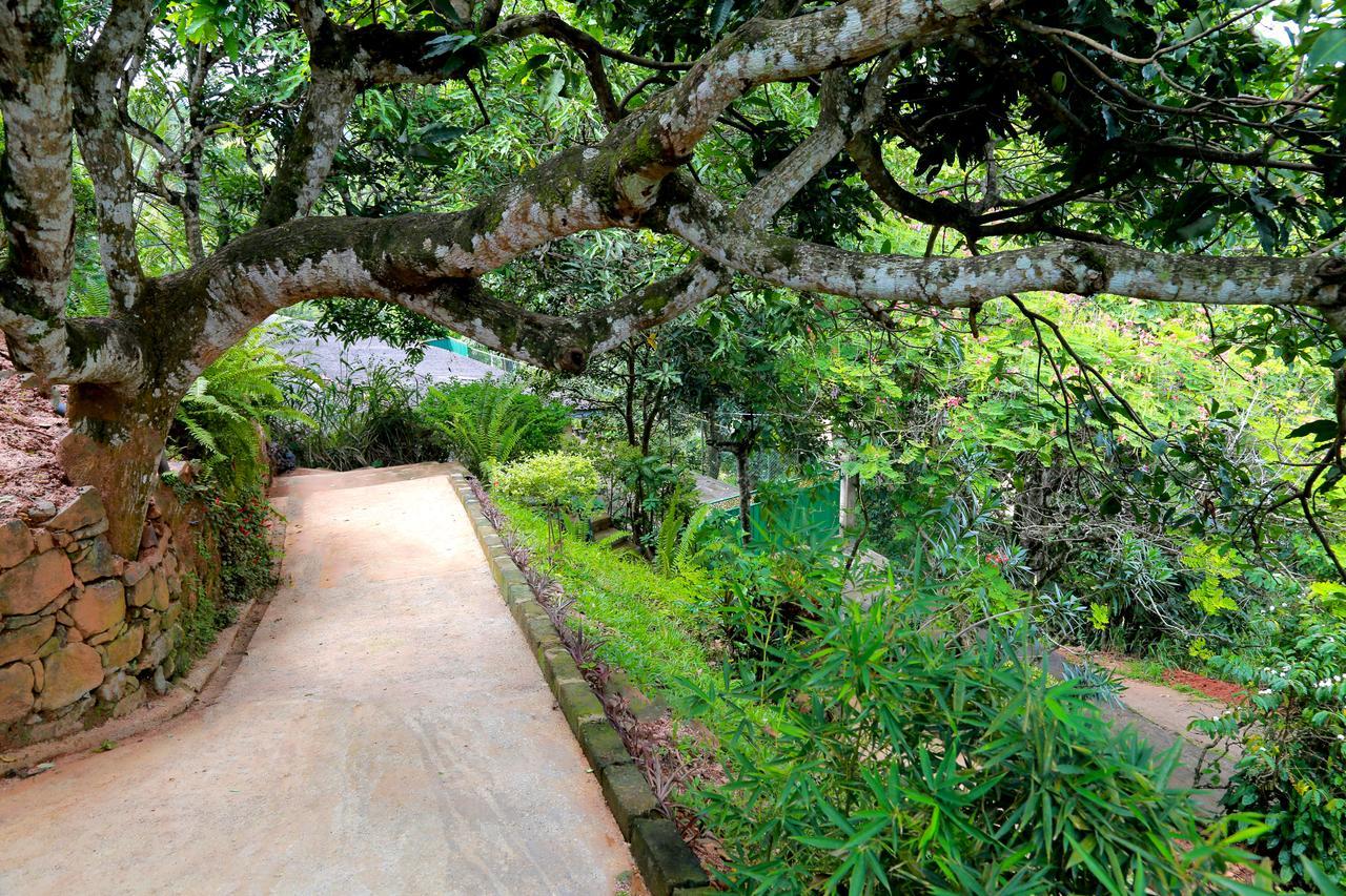 Serene 5* Kandy