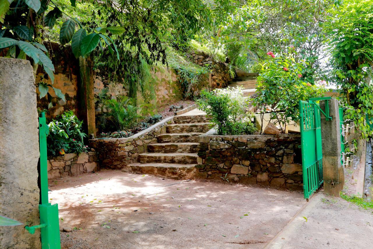 Serene Guest house
