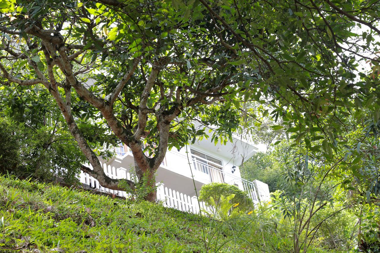 Serene Guest house 5*