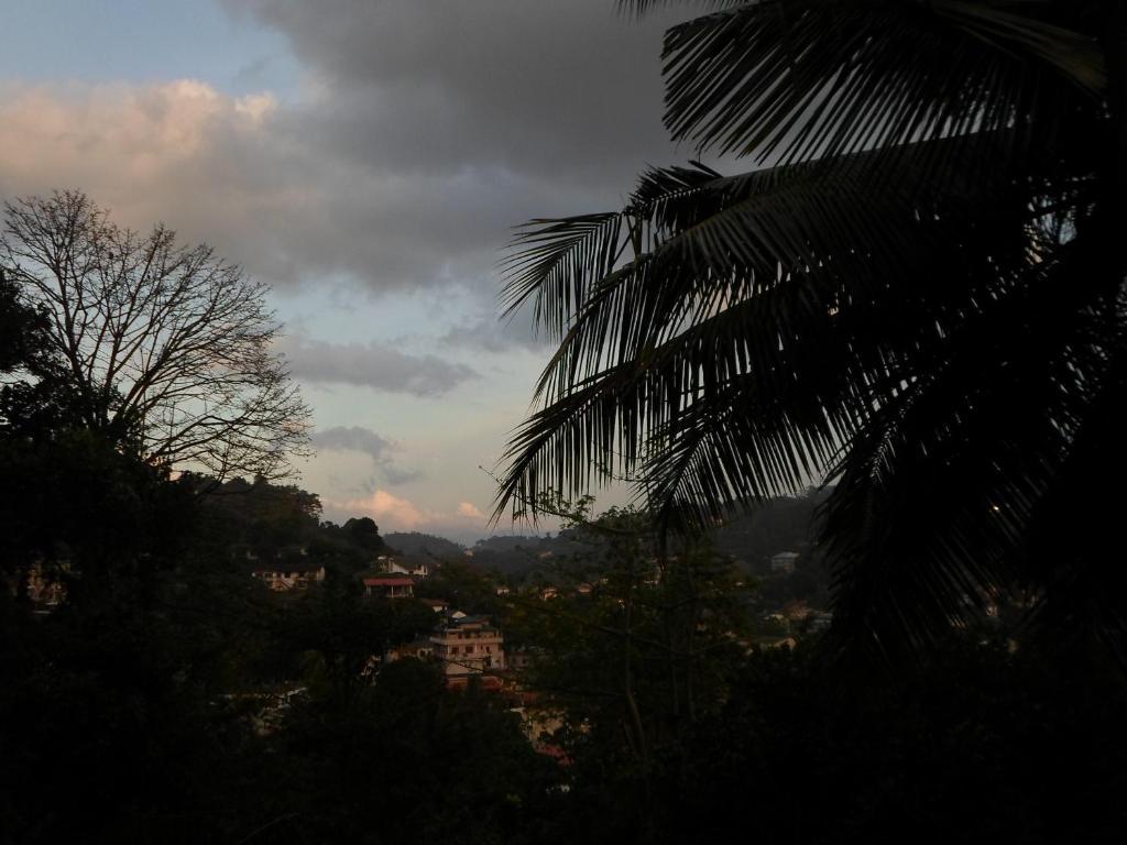 Hotel Tamarind Tree
