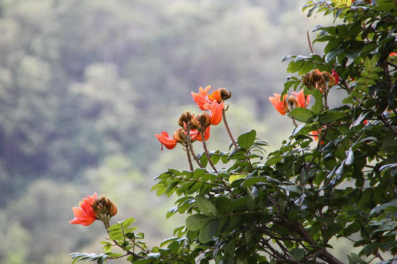 Mahaweli Shades Kandy