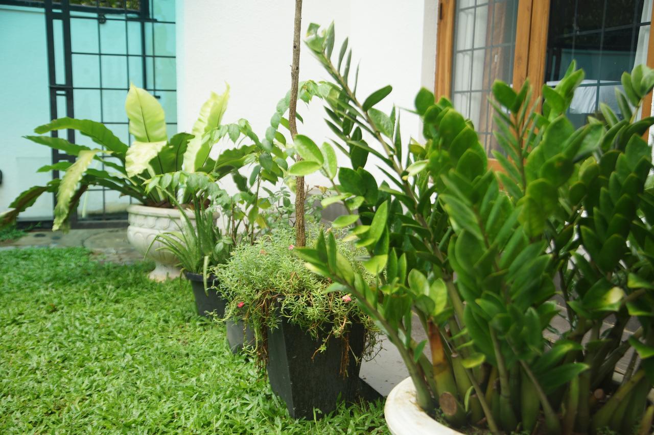 Nelinsa Residence Kandy