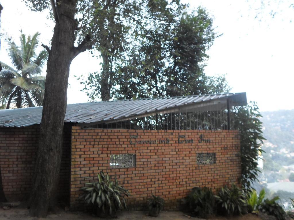 Tamarind Tree *