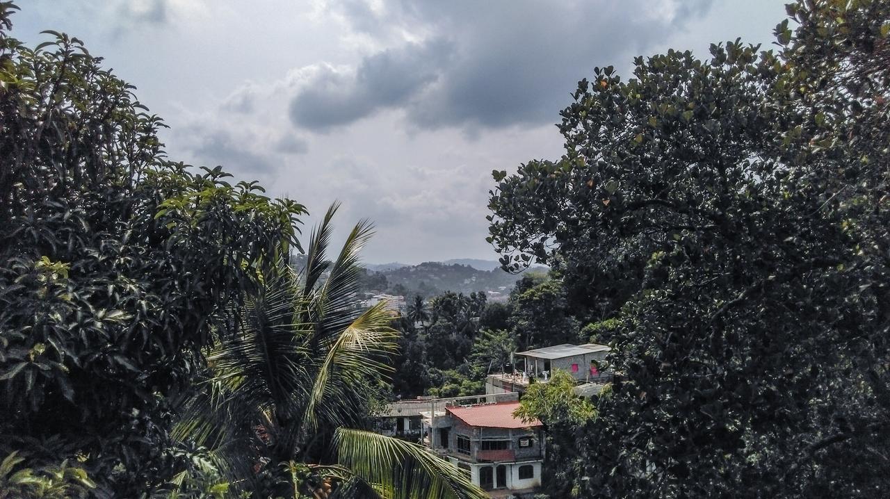 Lodge Nature View *