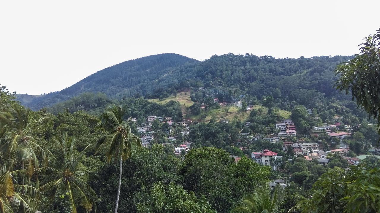 Nature View