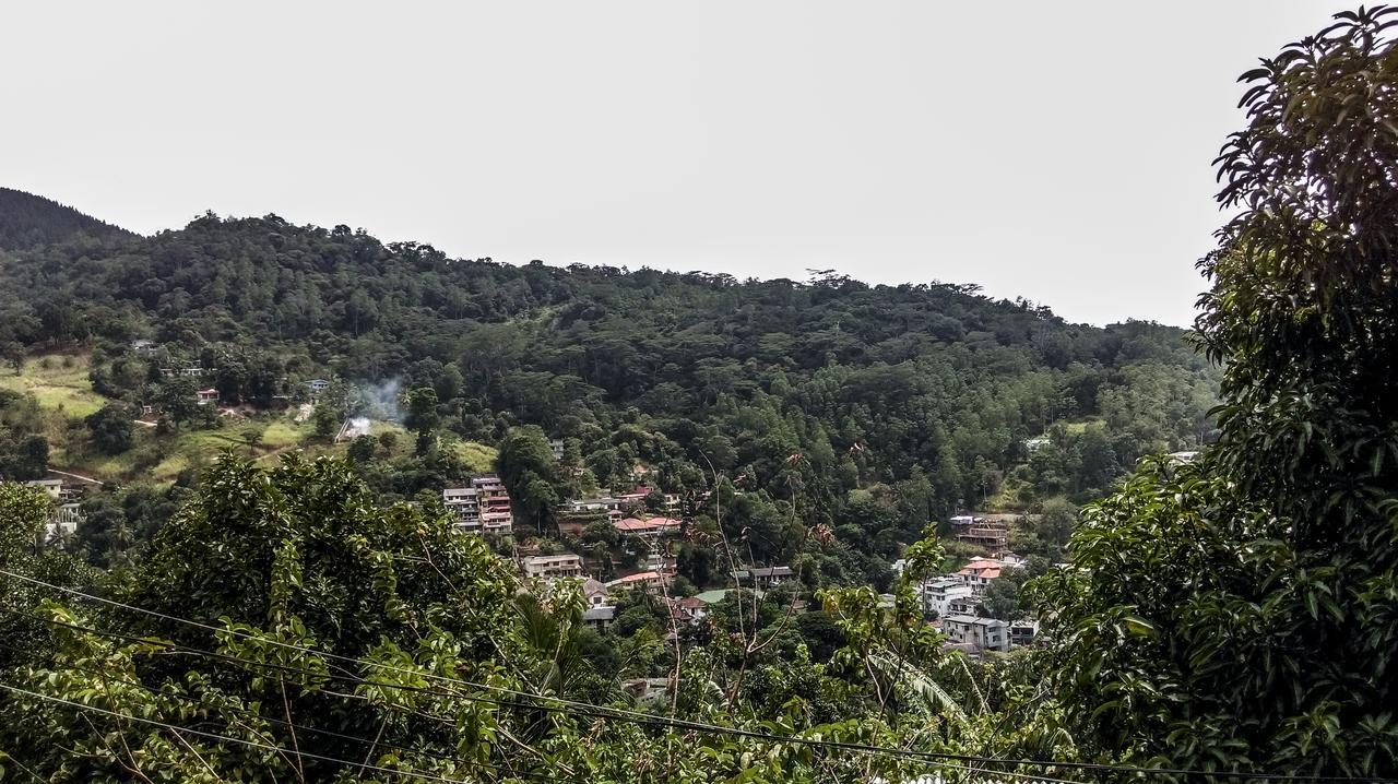 Nature View Lodge *