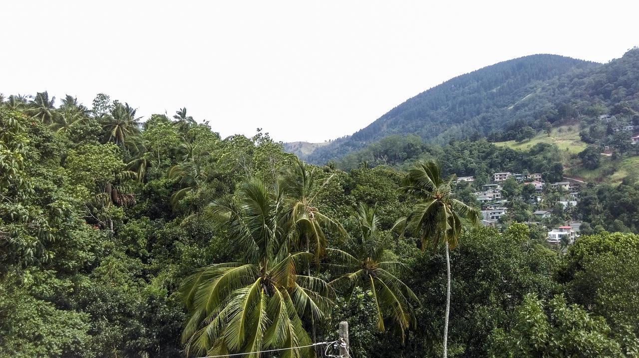 Nature View