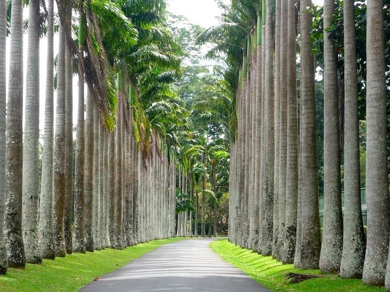 Nature View Kandy