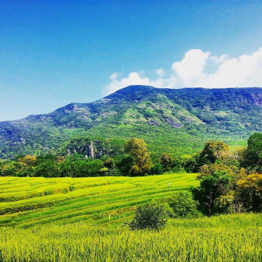 Guest house Riverston Hideaway Kandy