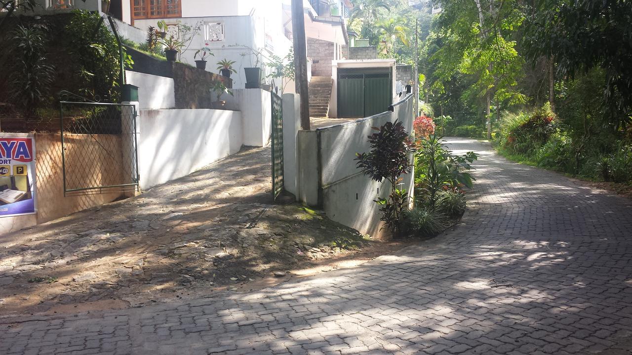 Shenaya Guest house 2*