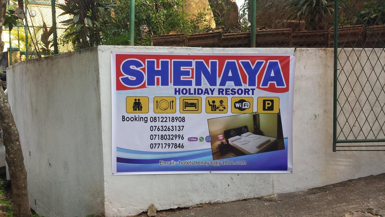 Shenaya 2*
