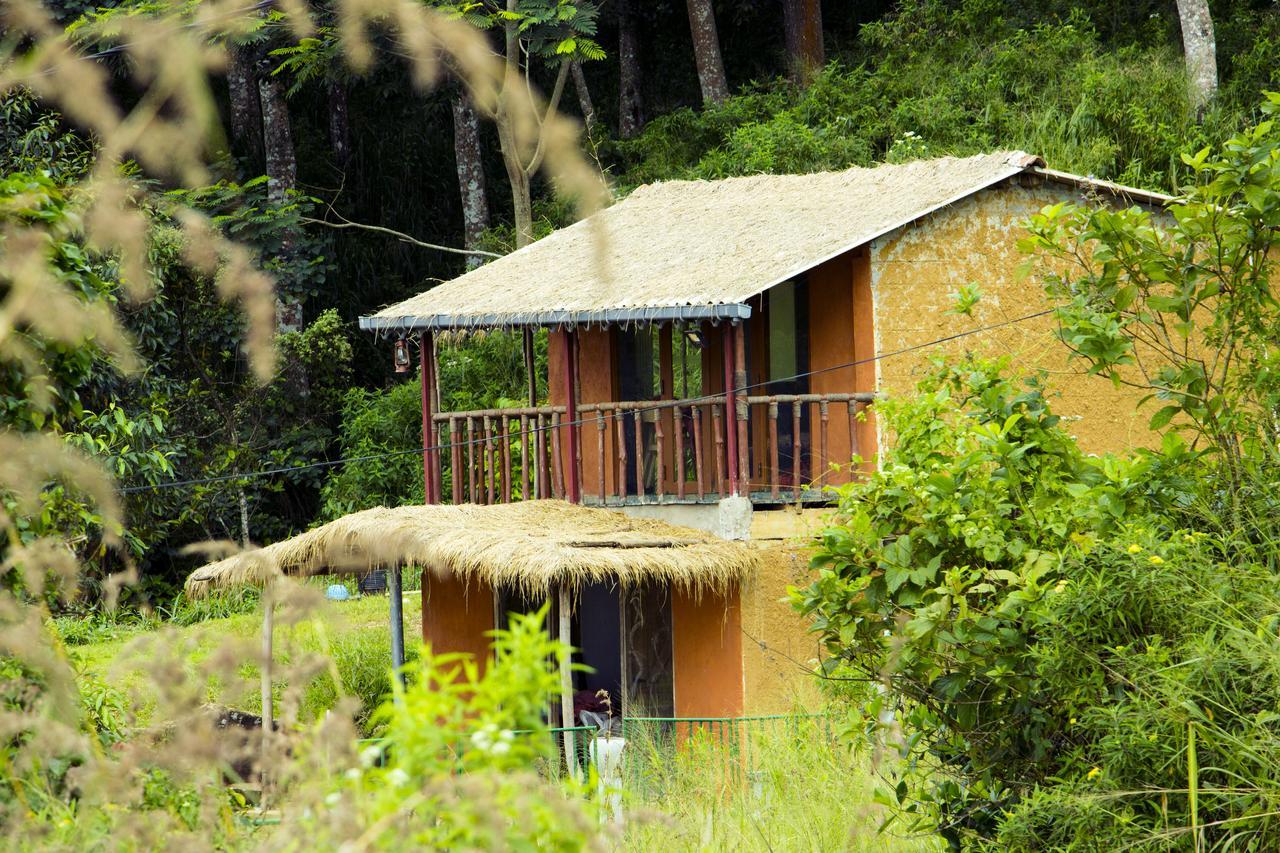 Lodge Hanthana Eco *
