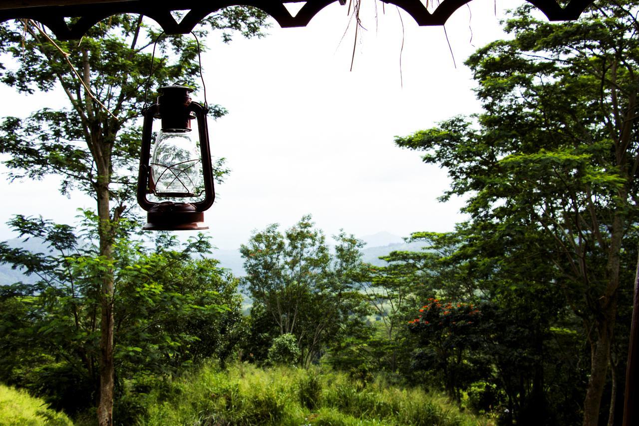 Lodge Hanthana Eco *