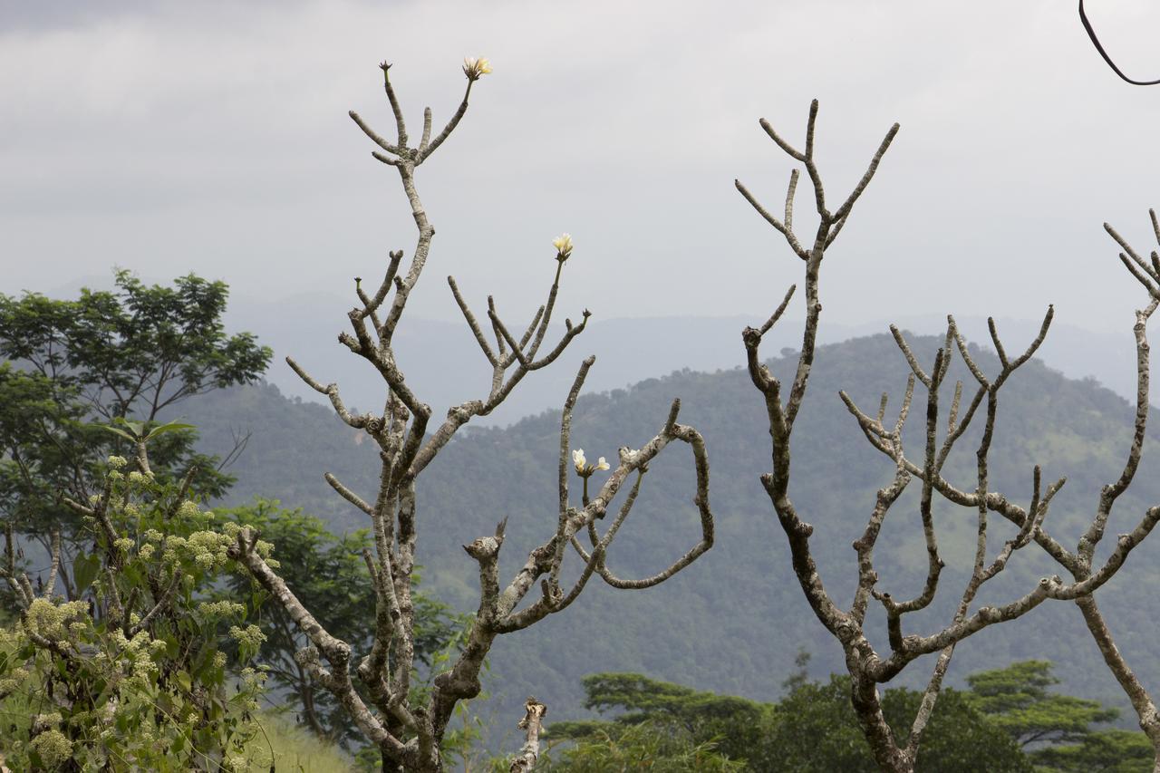 Hanthana Eco Lodge