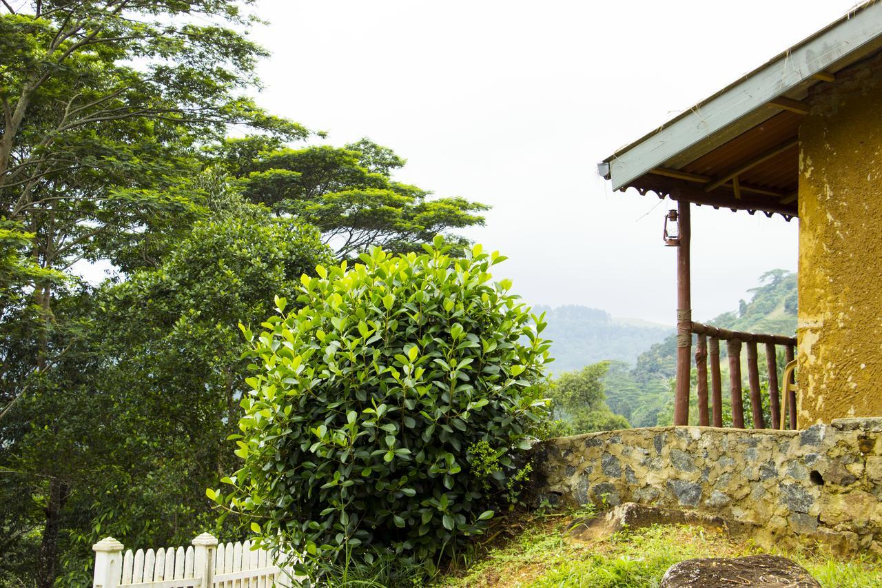 Lodge Hanthana Eco