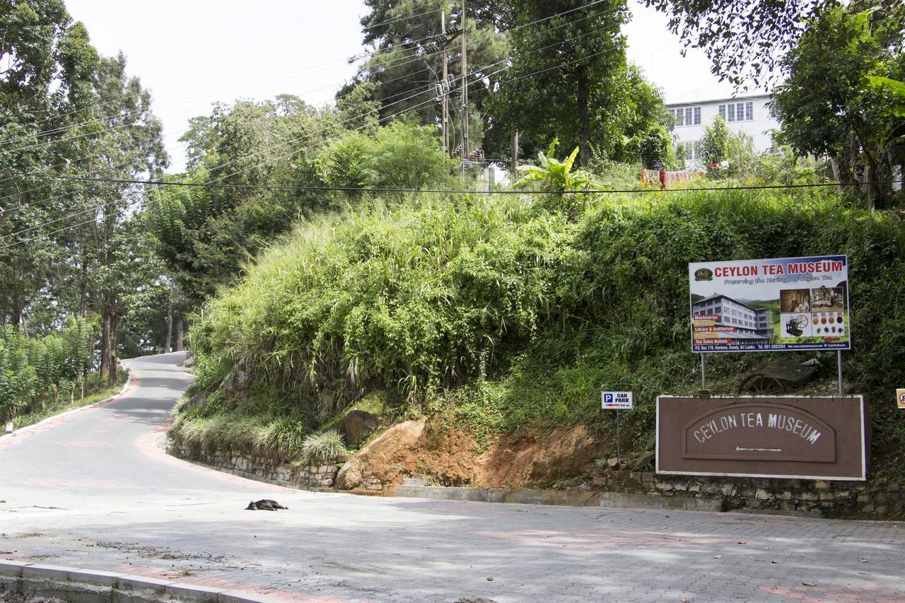 Lodge Hanthana Eco