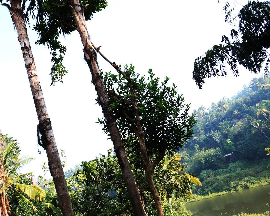 Rivers Edge Nature