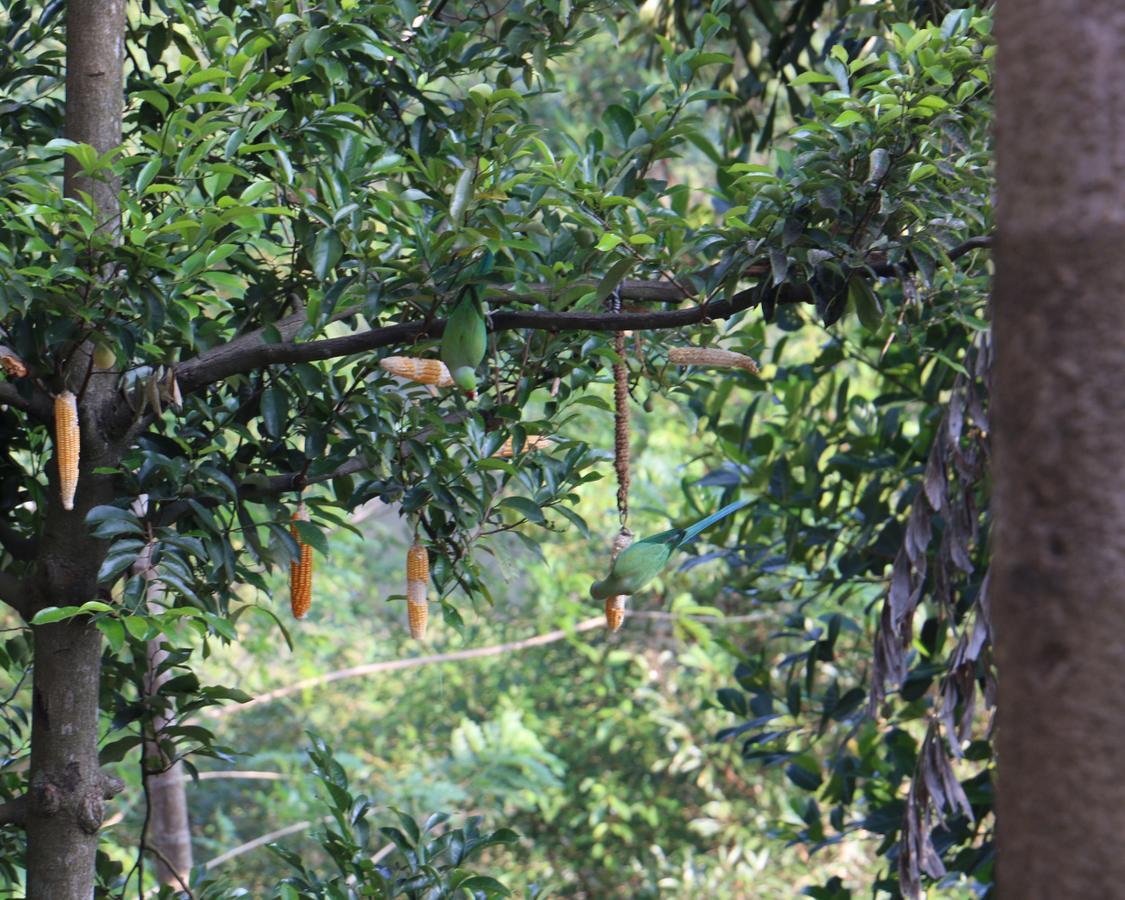 Rivers Edge Nature Resort *