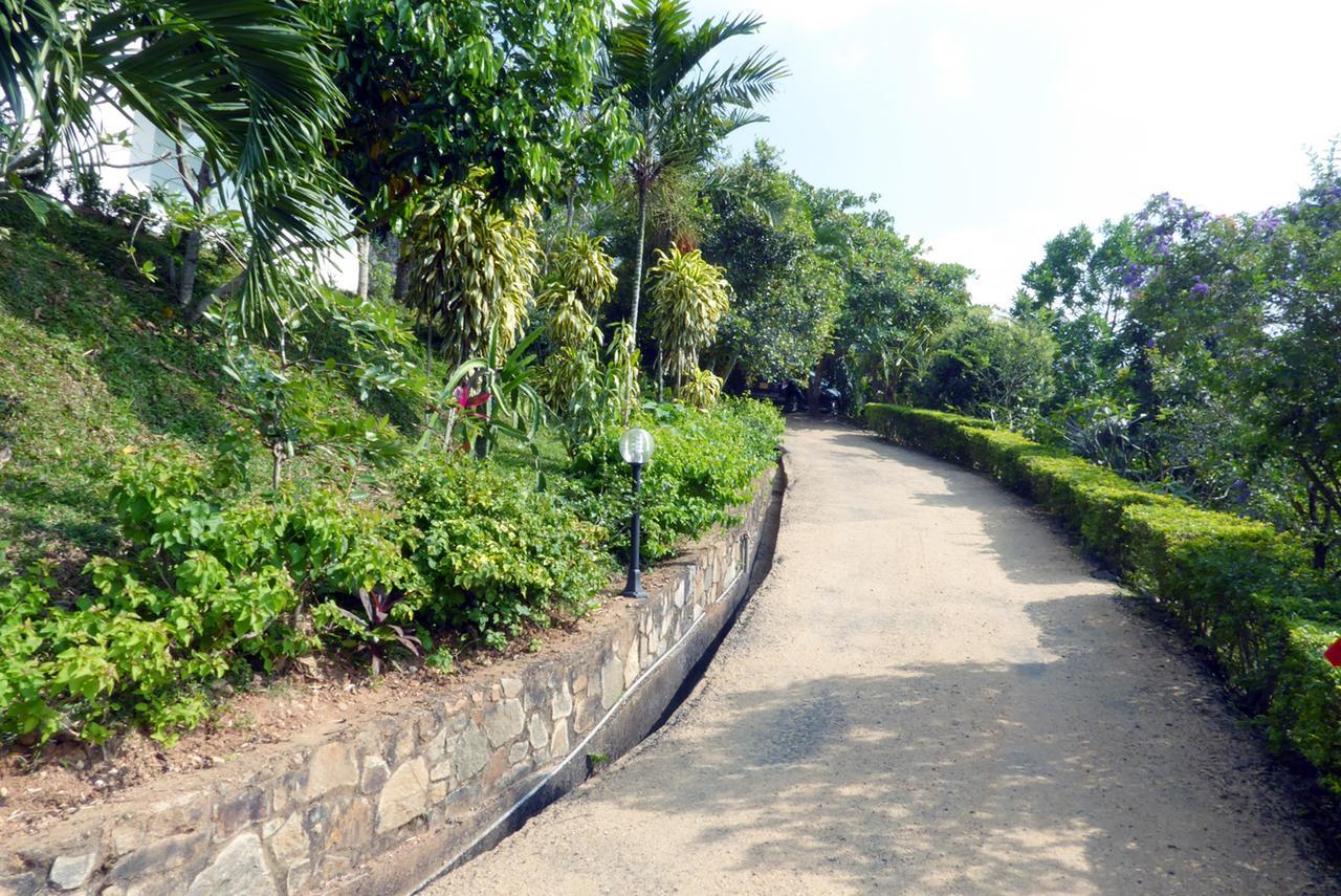 390 Vista Kandy