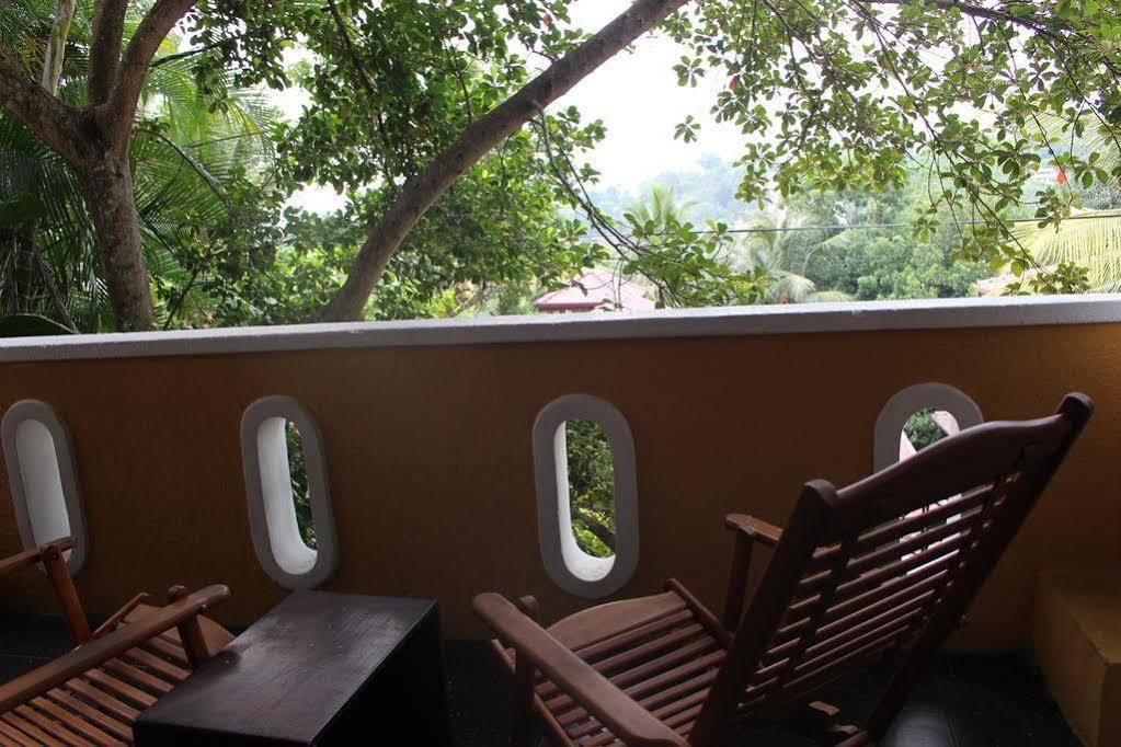 Homestay Alex
