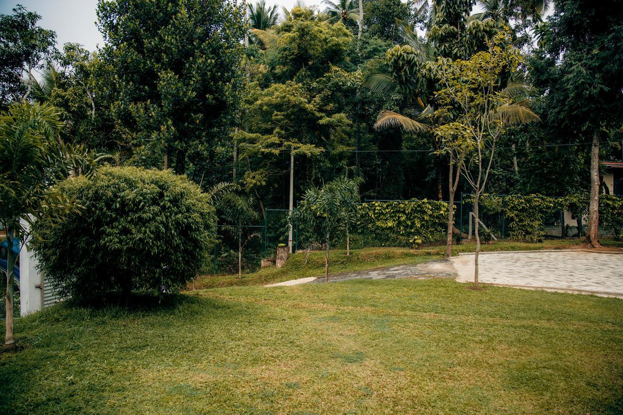Bed & Breakfast Thomasz Kandy