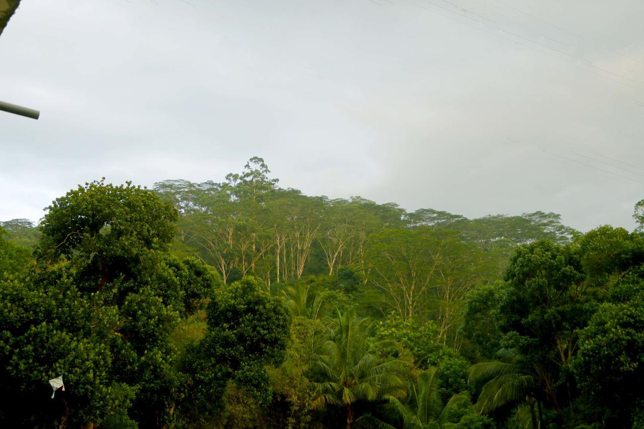Little Nest Hanthana * Kandy
