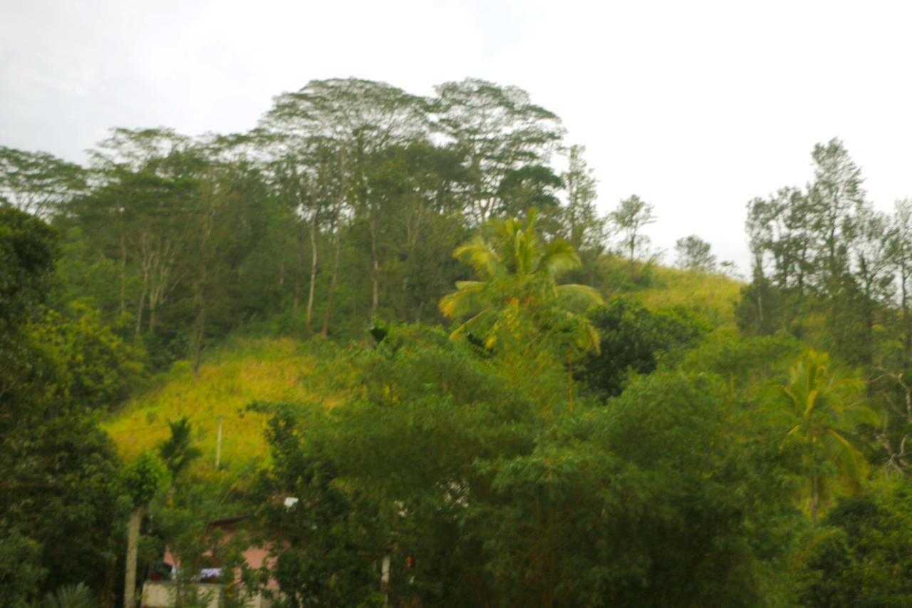 Little Nest Hanthana * Kandy