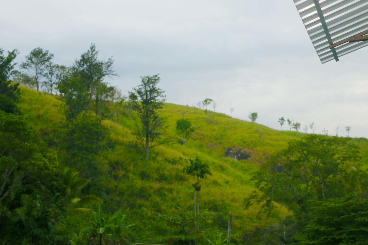 Guest house Little Nest Hanthana *