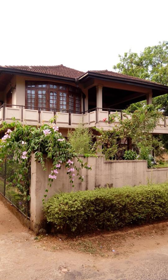 Guest house Terrace 3*