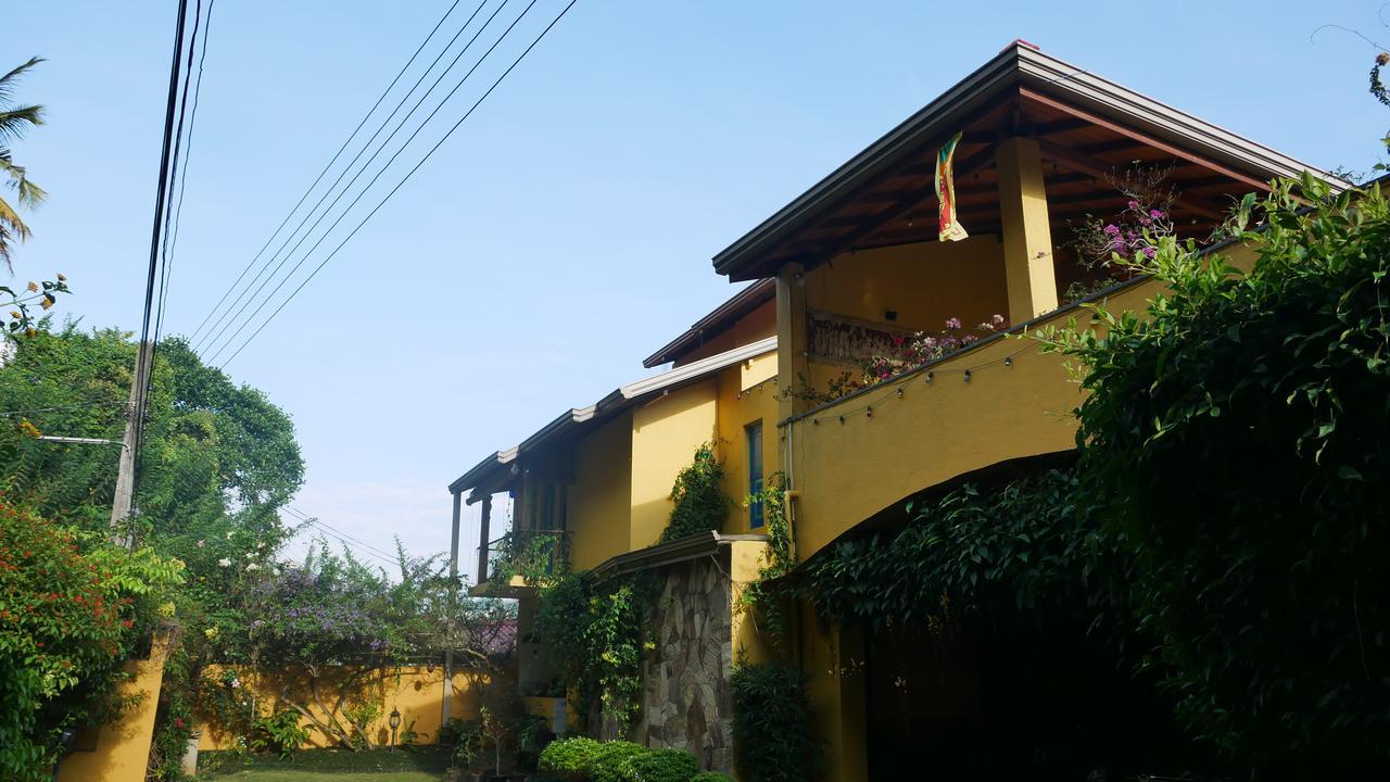 Yoho Away Homestay