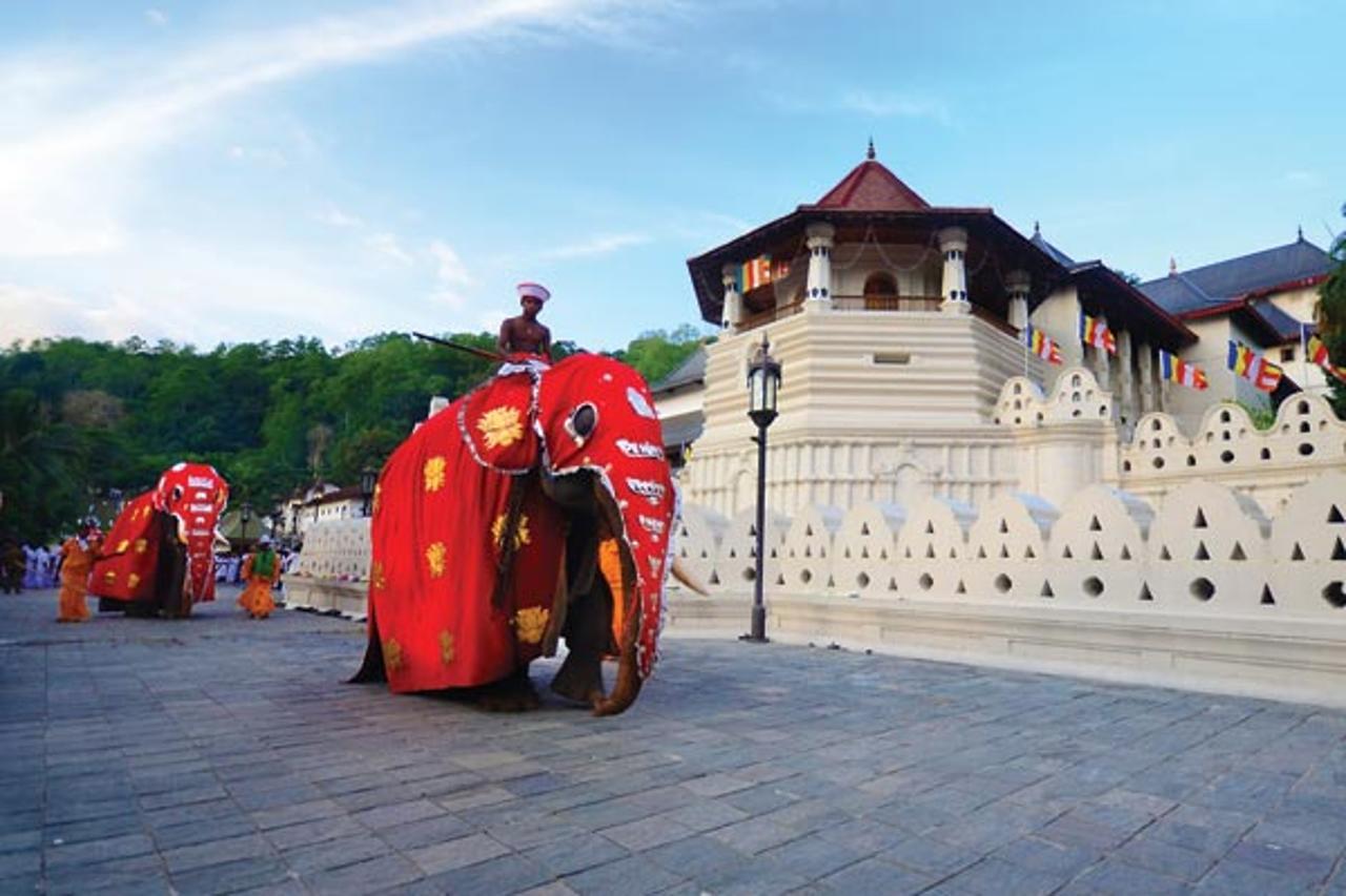 New Reverie Hill Guest house Kandy