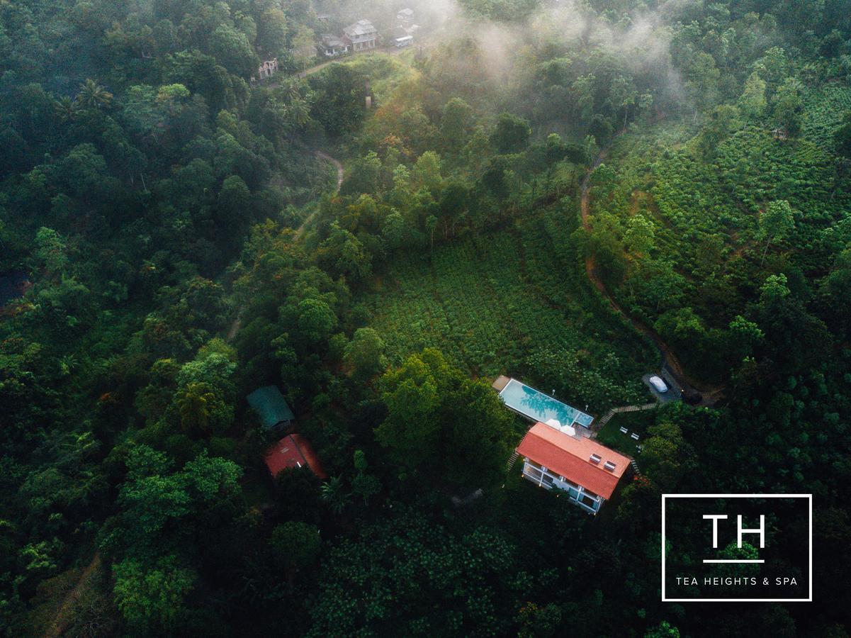 Tea Heights Kandy