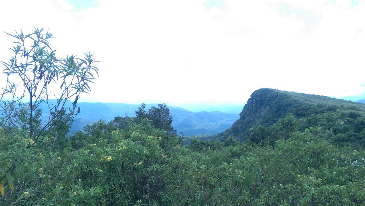 Lodge Naturee Riverstone River *