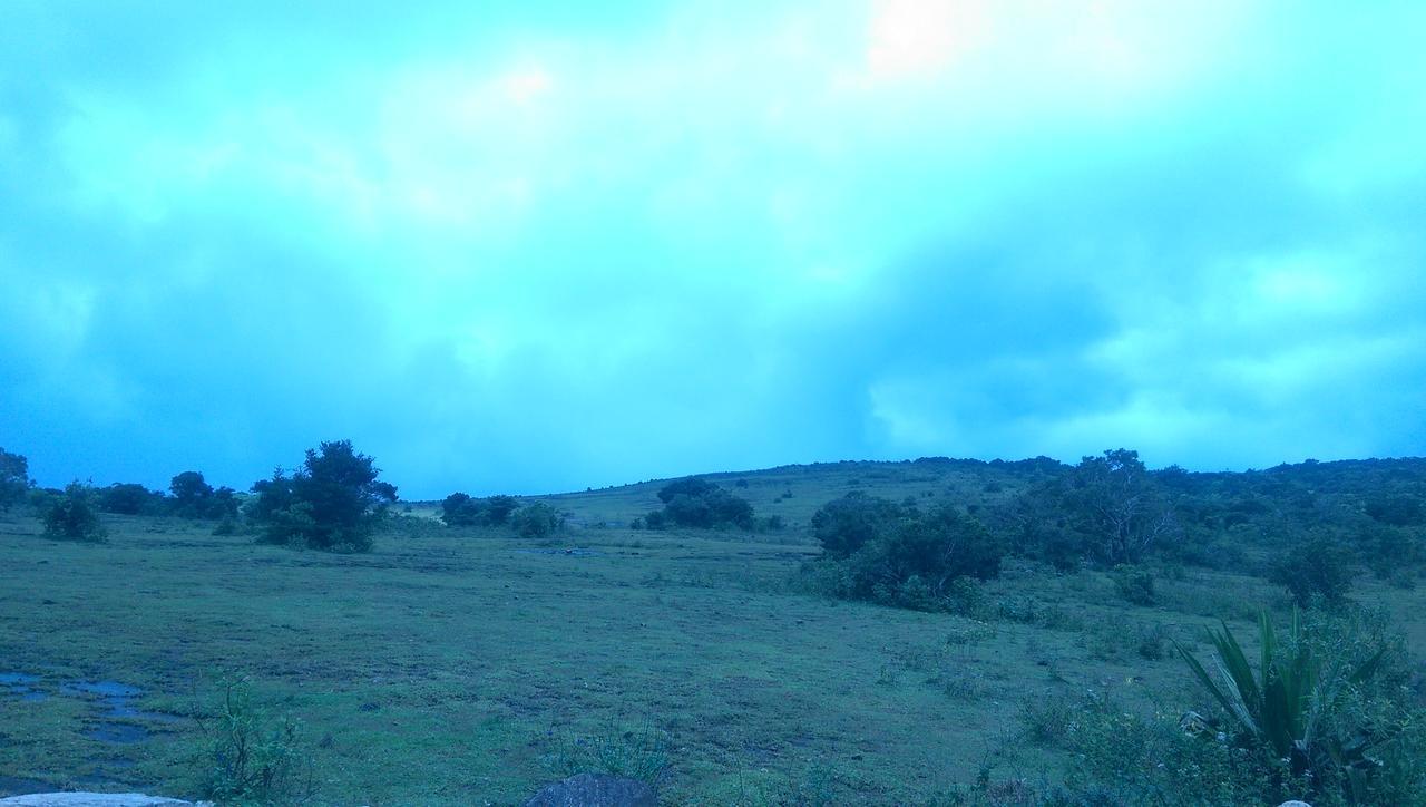 Naturee Riverstone River Lodge *