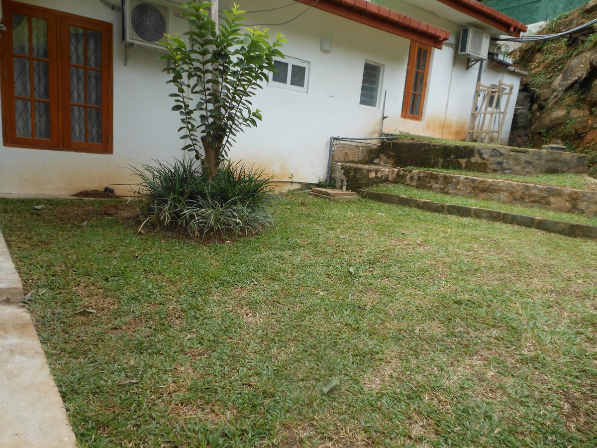 Lavender Hills 3*