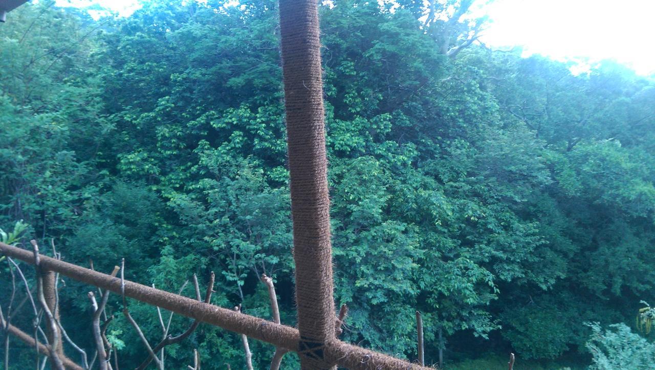 Lodge Naturee Riverstone River *