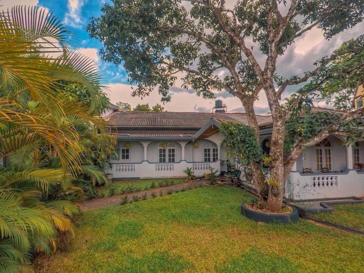 The Mango Guest house