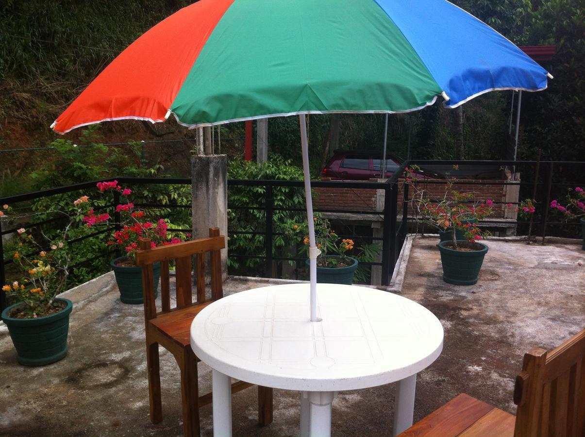 Homestay Araliya